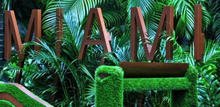 Miami sous tension : la FIA prépare un plan d’urgence face aux orages