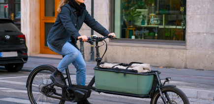Vélo cargo : la France championne, mais pour combien de temps ?