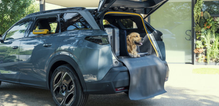 Peugeot présente la « Rolls » des SUV pour chiens, le E-5008 Dog Concept