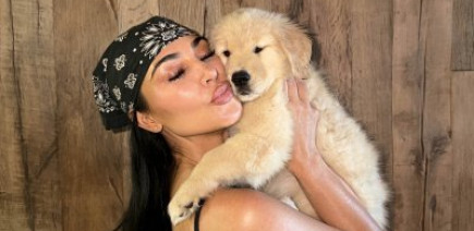 Kim Kardashian dévoile Halo, le nouveau chien de Lewis Hamilton
